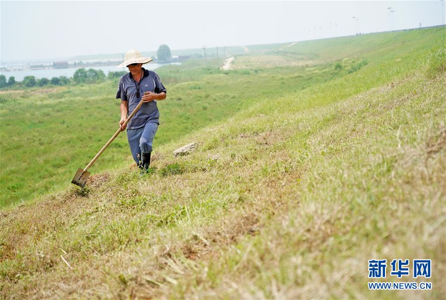 (防汛抗洪·圖文互動)(1)特寫:康山大堤上的脫貧“守堤人”