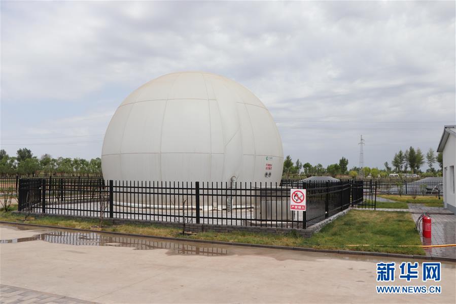 (鄉村振興·圖文互動)(5)內蒙古伊金霍洛旗:自家生豬基地養 環境好來收入旺