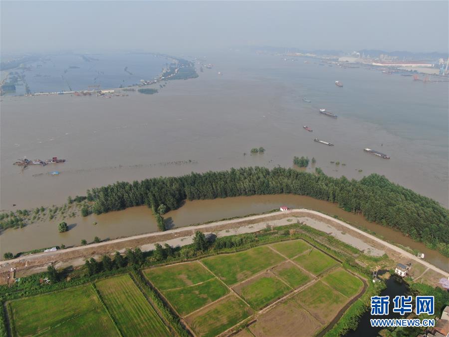 (新華全媒頭條·圖文互動)(1)鏖戰江新洲