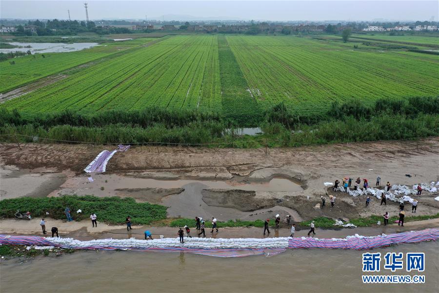 (新華全媒頭條·圖文互動)(2)鏖戰江新洲