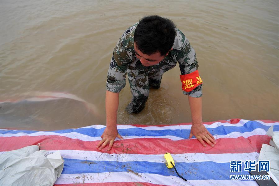 (新華全媒頭條·圖文互動)(5)鏖戰江新洲