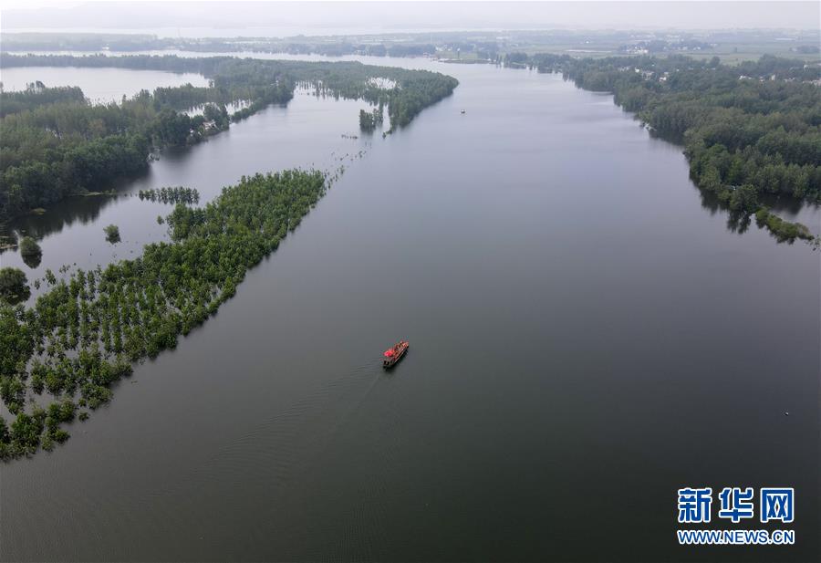 (防汛抗洪)(3)七旬擺渡人“重出江湖”:我為抗洪出份力