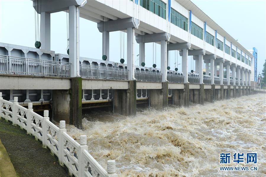 (防汛抗洪)(5)淮河王家壩閘開閘泄洪  蒙洼蓄洪區啟用