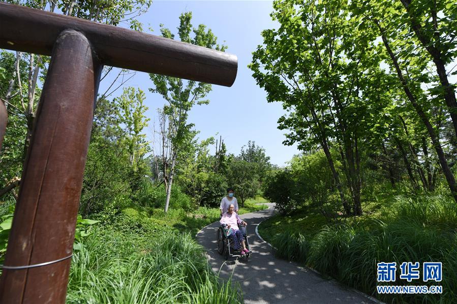 (新華全媒頭條·圖文互動)(4)老胡同里的新生活——北京老城探訪記