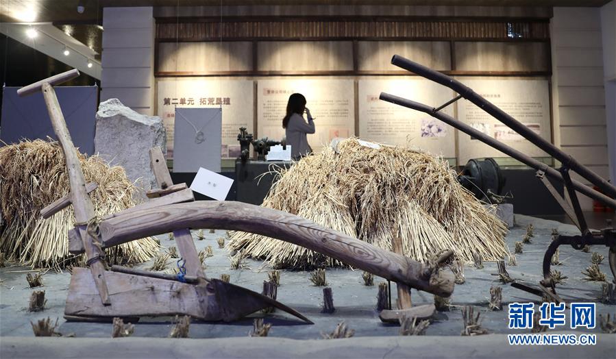 (新華全媒頭條·走向我們的小康生活·圖文互動(dòng))(10)“南大荒”變“稻蟹鄉(xiāng)”——資源枯竭型城市盤(pán)錦的鄉(xiāng)村振興之路