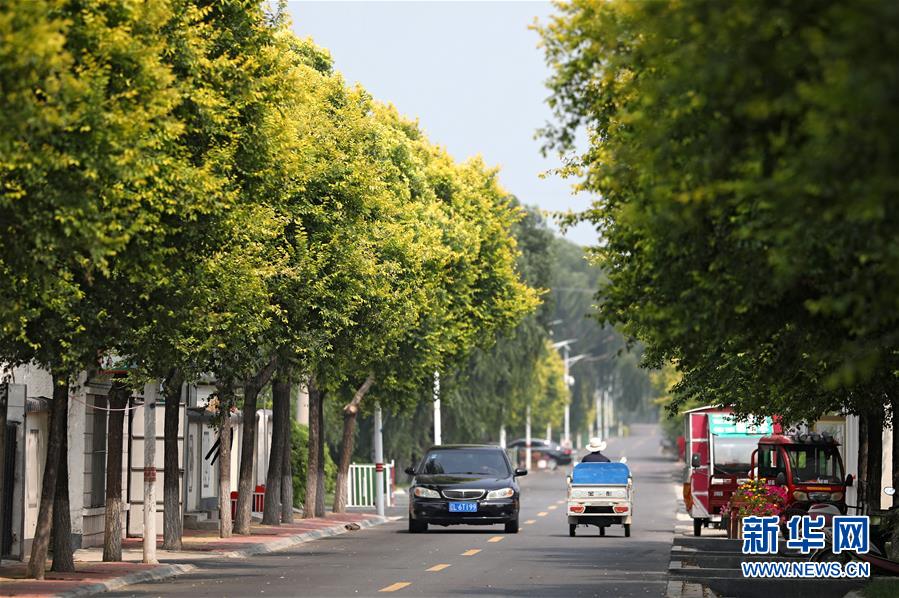 (新華全媒頭條·走向我們的小康生活·圖文互動(dòng))(3)“南大荒”變“稻蟹鄉(xiāng)”——資源枯竭型城市盤(pán)錦的鄉(xiāng)村振興之路