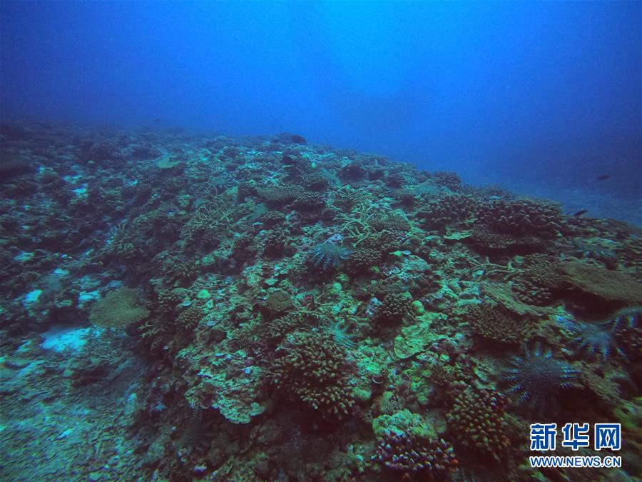 (圖文互動)(1)中沙群島綜合科學考察項目2020年度綜合航次任務完成