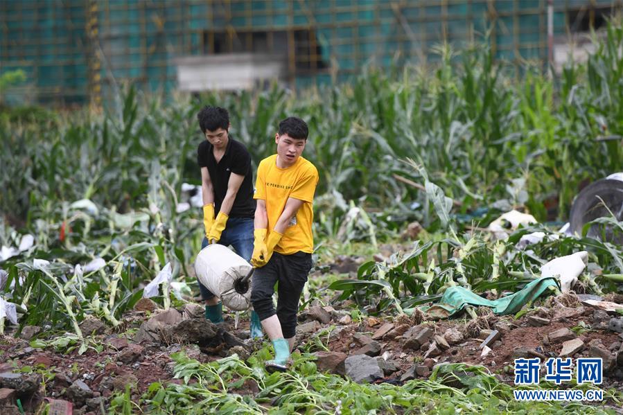 (新華全媒頭條·圖文互動)(4)立皖安瀾——安徽決戰一江一河一湖抗洪紀實