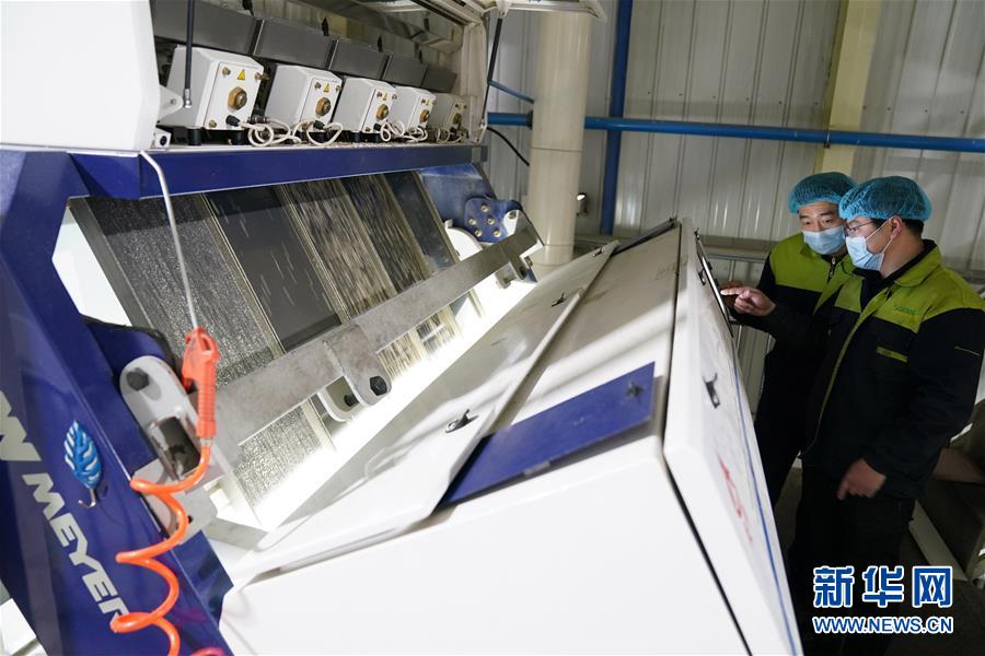 (在習近平新時代中國特色社會主義思想指引下——新時代新作為新篇章·習近平總書記關切事·圖文互動)(6)激發每個經濟“細胞”的活力——千方百計把市場主體保護好