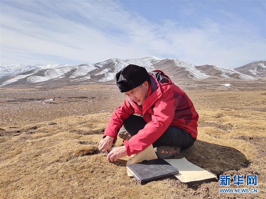 (新時(shí)代擔(dān)當(dāng)作為典型·圖文互動(dòng))(2)草地生態(tài)專家趙新全:情深不舍三江源