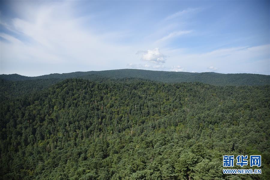 (鄉(xiāng)村振興·圖文互動)守護(hù)小興安嶺的“綠色明珠”