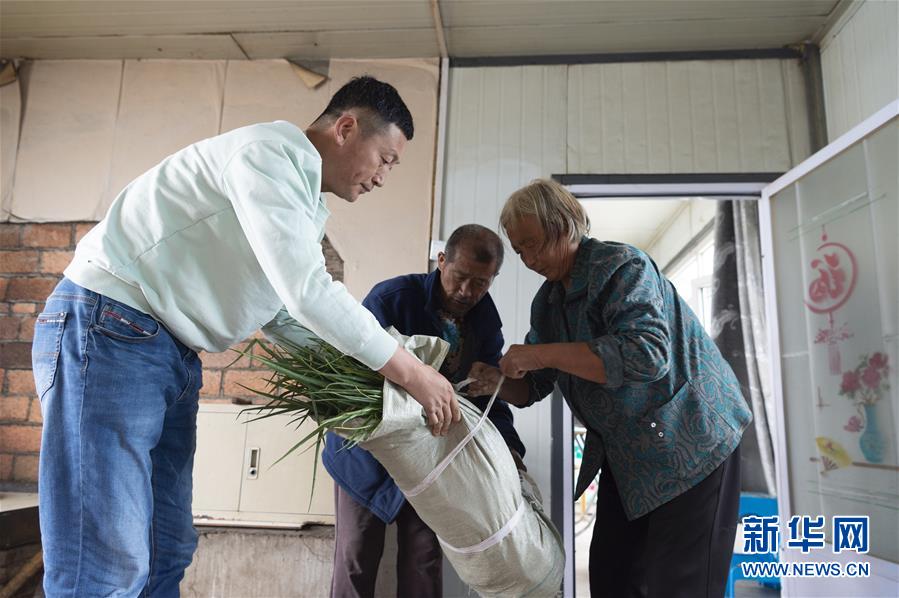 (決戰決勝脫貧攻堅·圖文互動)(5)老張的菜園