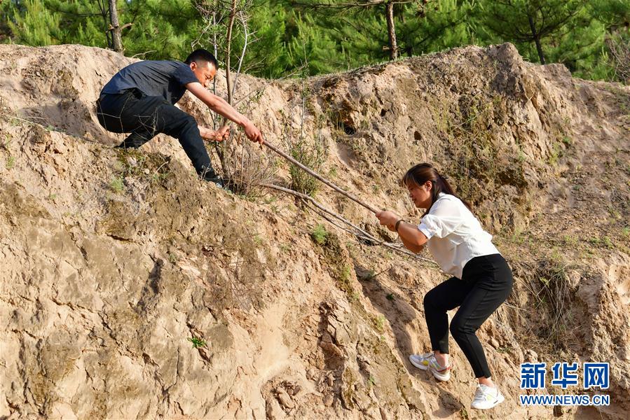 (新華全媒頭條·圖文互動)(5)黃土地上向陽花開——來自山西深度貧困地區(qū)的脫貧故事