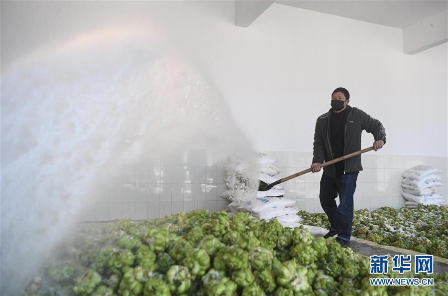 (新華全媒頭條·走向我們的小康生活·圖文互動(dòng))(6)大城大鄉(xiāng)的“幸福協(xié)奏曲”——重慶推動(dòng)高質(zhì)量發(fā)展創(chuàng)造高品質(zhì)生活紀(jì)事