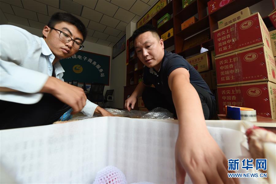 (走向我們的小康生活·圖文互動(dòng))(3)在那碧綠的階梯上——“梯田之鄉(xiāng)”甘肅莊浪縣的“三級(jí)跳”