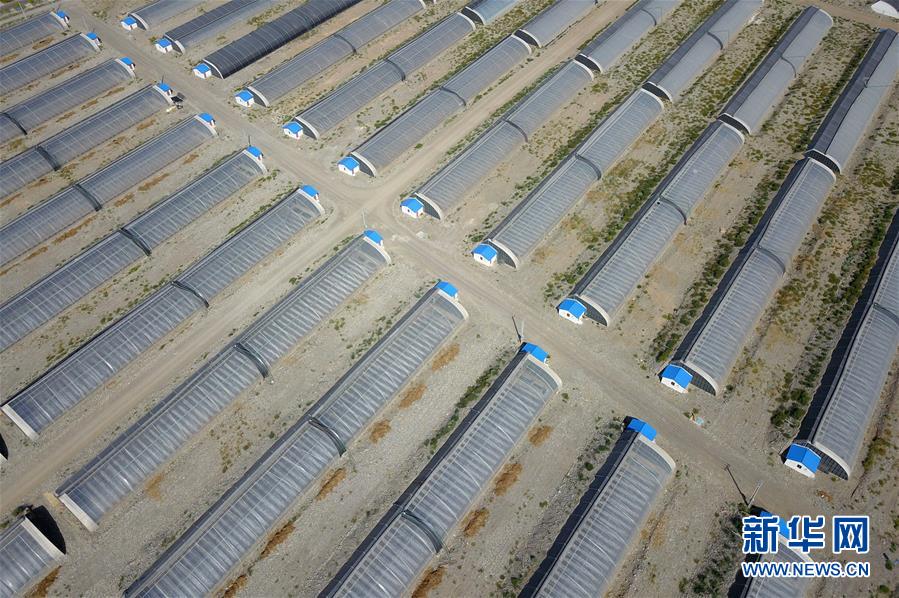 (走向我們的小康生活·圖文互動)(4)“荒涼”土地掘金記——甘肅旱作農業發展“變奏曲”