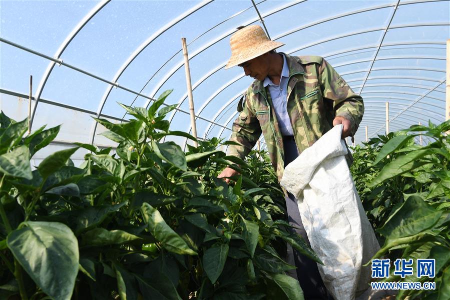 (走向我們的小康生活·圖文互動)(2)“荒涼”土地掘金記——甘肅旱作農業發展“變奏曲”