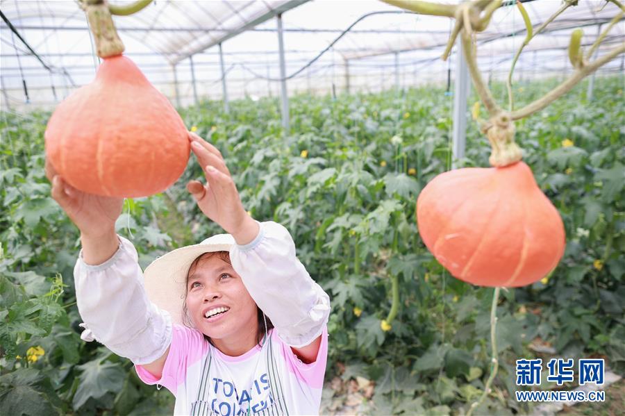 (走向我們的小康生活·決戰決勝脫貧攻堅·圖文互動)(2)麻山突圍記