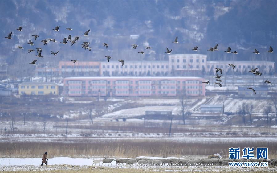 (新華全媒頭條·走向我們的小康生活·圖文互動)(14)黑土地上是我家——在吉林,一瞥中國東北鄉(xiāng)村美麗未來
