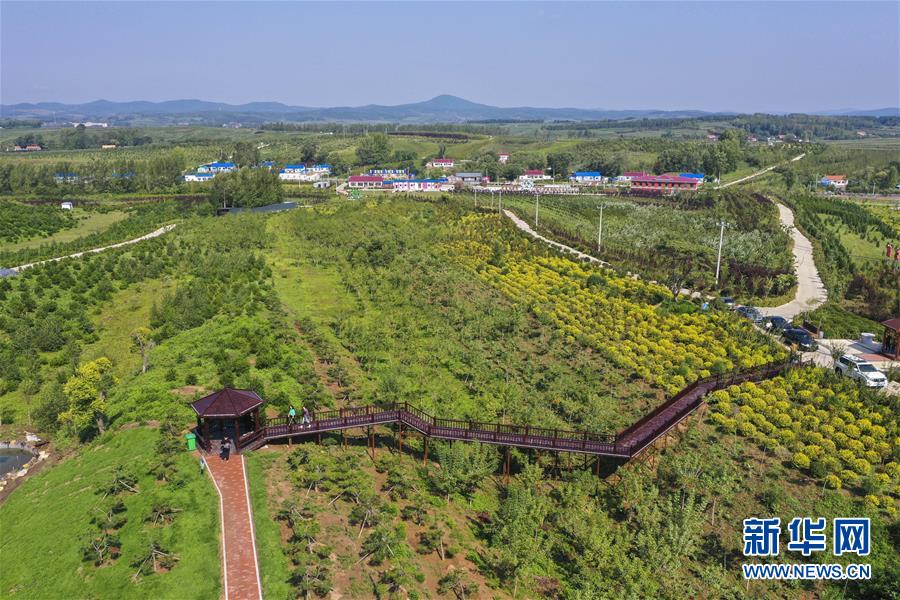 (新華全媒頭條·走向我們的小康生活·圖文互動)(16)黑土地上是我家——在吉林,一瞥中國東北鄉(xiāng)村美麗未來