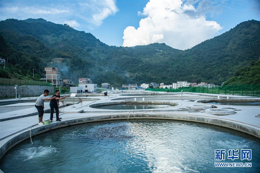 (新華全媒頭條·決戰(zhàn)決勝脫貧攻堅(jiān)·督戰(zhàn)未摘帽貧困縣·圖文互動(dòng))(11)把“最能打的人”放在最需要的地方——聚焦貴州未脫貧縣里的“助攻干部”
