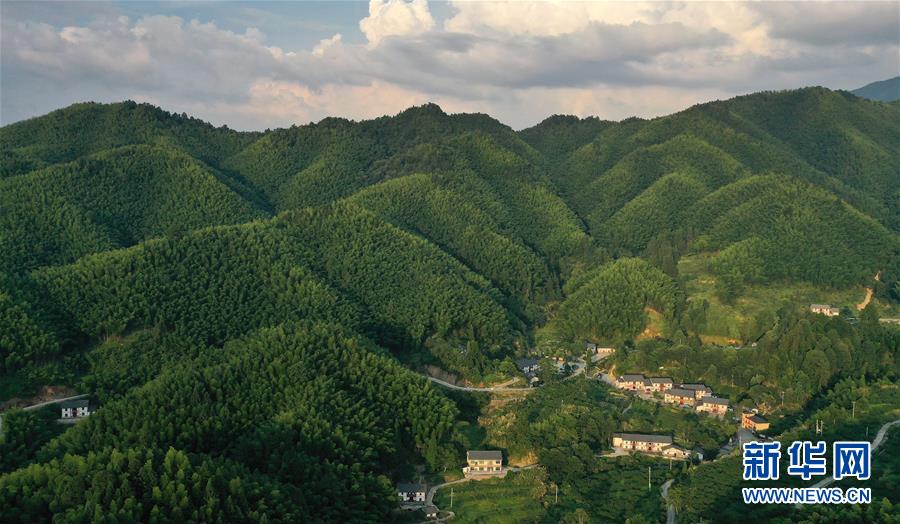 (新華全媒頭條·走向我們的小康生活·圖文互動)(2)神山村“神奇”何在?——井岡山深處覓答案