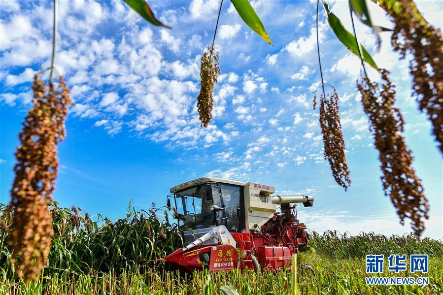 (新華全媒頭條·圖文互動)(17)奮斗結碩果,再寫新篇章——寫在共和國71周年華誕之際