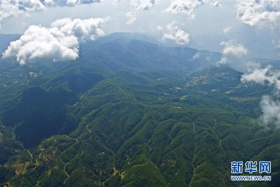 (熱點(diǎn)鮮報(bào)·圖文互動(dòng))(1)善洲精神永相傳:留下一片綠洲 造福家鄉(xiāng)百姓