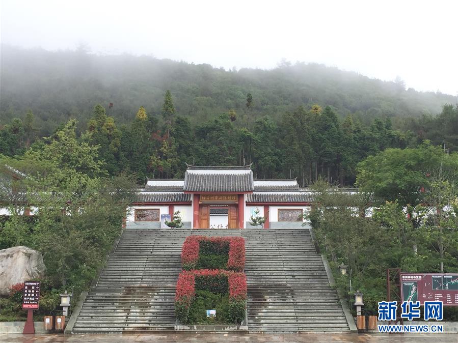 (熱點(diǎn)鮮報(bào)·圖文互動(dòng))(5)善洲精神永相傳:留下一片綠洲 造福家鄉(xiāng)百姓