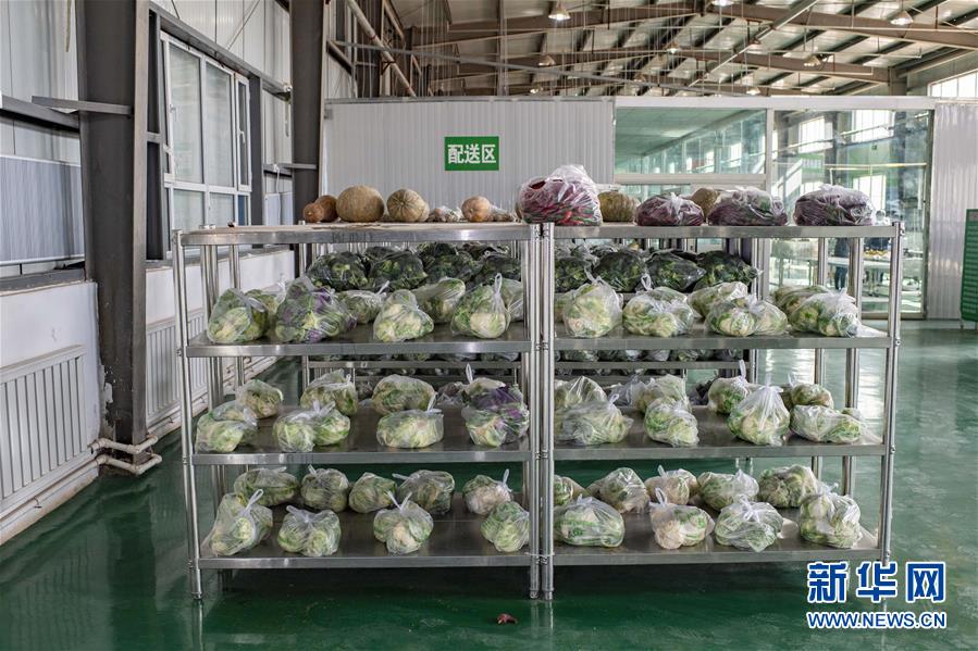 (聚焦疫情防控·圖文互動)(1)把握先機 應對有序——新疆疏附縣全力阻斷新冠肺炎病毒傳播