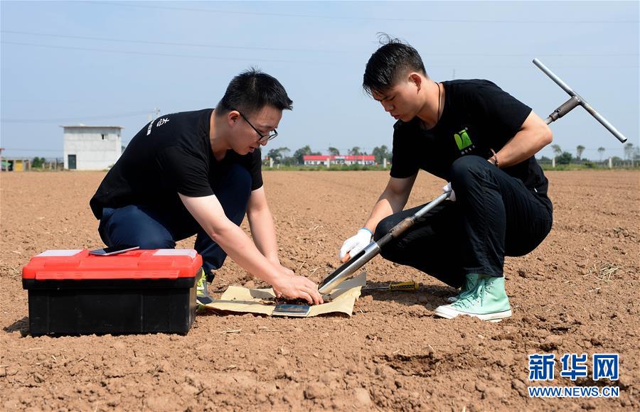 (在習近平新時代中國特色社會主義思想指引下——新時代新作為新篇章·總書記關心的百姓身邊事·圖文互動)(6)“農”字頭照樣“大”作為——豐收時節(jié)看涉農高校人才在希望的田野