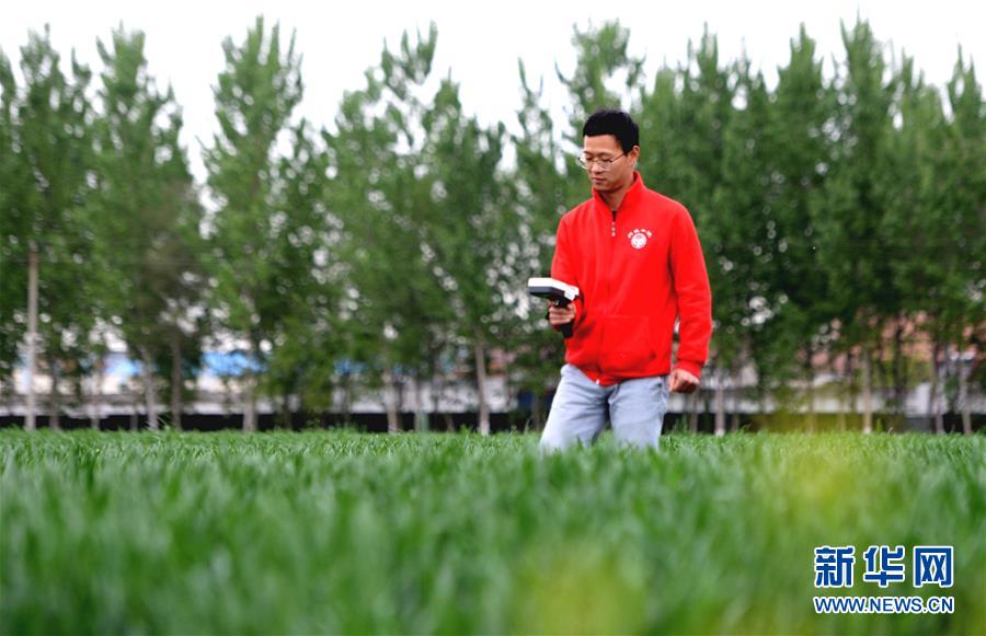 (在習近平新時代中國特色社會主義思想指引下——新時代新作為新篇章·總書記關心的百姓身邊事·圖文互動)(4)“農”字頭照樣“大”作為——豐收時節(jié)看涉農高校人才在希望的田野