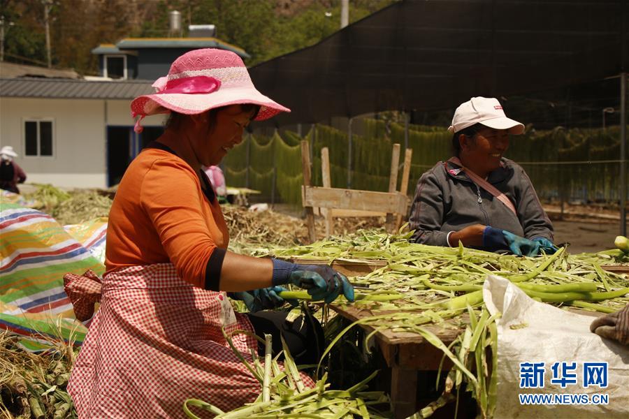(在習近平新時代中國特色社會主義思想指引下——新時代新作為新篇章·習近平總書記關切事·圖文互動)(4)啃下最后的硬骨頭——脫貧攻堅掛牌督戰進行時