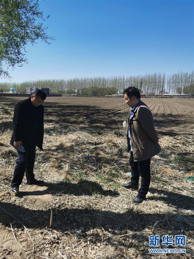 （在習近平新時代中國特色社會主義思想指引下——新時代新作為新篇章·習近平總書記關切事·圖文互動）（3）青春的顏色是什么？