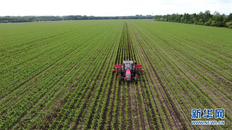 (在習近平新時代中國特色社會主義思想指引下——新時代新作為新篇章·習近平總書記關切事·圖文互動)(5)讓每一寸耕地都成為豐收的沃土——我國加強耕地保護推進“藏糧于地”