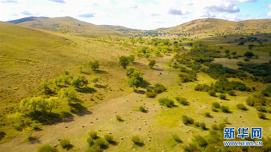 (在習近平新時代中國特色社會主義思想指引下——新時代新作為新篇章·習近平總書記關切事·圖文互動)(4)綠意,在黃沙中鋪展——我國防沙治沙紀實