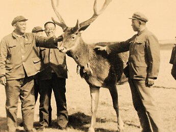 尕布龍在海北藏族自治州調研