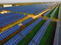 河北巨鹿:光伏扶貧“照亮”致富路