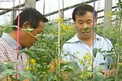 李雙星:扶貧致富圓夢(mèng)人
