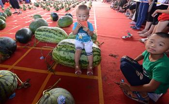 河南開封:“斗瓜”大賽精彩紛呈