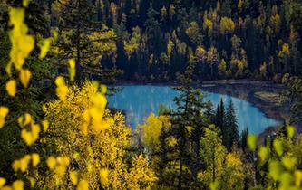 喀納斯:秋景入畫來