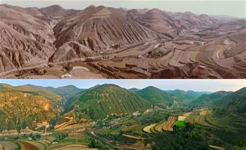 “黃土地”刷出“新顏值”:延安兩千萬(wàn)畝“林海”誕生記