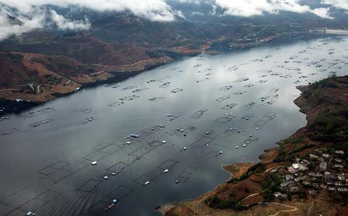 廣西隆林:水上“田園”