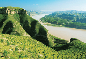 張建龍：“三北工程”實現生態、經濟、社會效益“多贏”