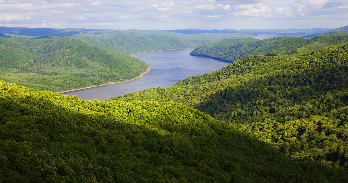 張建龍：“三北工程”實現生態、經濟、社會效益“多贏”