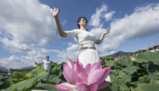 福建建寧:蓮田花海瑜伽秀
