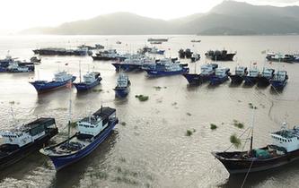 浙江蒼南:全力以赴應對臺風“瑪莉亞”