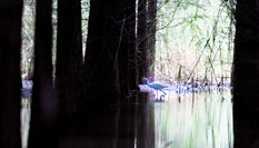 云南昆明:到撈魚河濕地公園親近自然