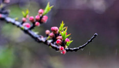 隨心而行,走走停停始終精彩。