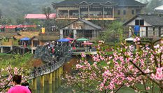 湖南湘西:趕“桃花會(huì)”享春光